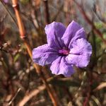 NATURE!! - @waldengregoryenglish3 - Instagram