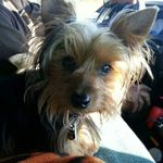 Gregory Ware - @gregory.ware2 - Instagram