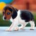 Gregory Warnock - Facebook