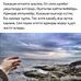 Gregory Warnock - Facebook
