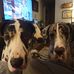 Greg Washburn - Facebook