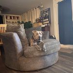 Gregory Webster - @stinger047 - Instagram