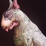 Gregory Webster - @gregory.webster1 - Instagram