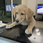 Gregory Weed - @gringo.gregpty - Instagram
