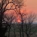 Greg Wert - Facebook