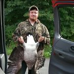 Gregory wheaton - @gregorywheaton - Instagram