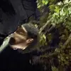 gregory_2_white - @gregory_2_white - TikTok