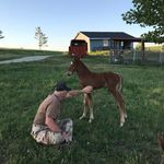 Gregory Whitfield - @alamorep1836 - Instagram