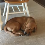 Greg Whittington - @gregorywhitt14 - Instagram