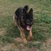Gregory Wicks - Facebook