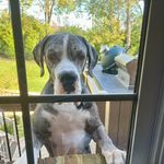 Gregory Wilder - @gswilder - Instagram