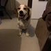 Willy Gregory - Facebook