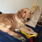 Sir Gregory Winchester The 1st - @sir_gregory_winchester - Instagram