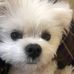 Gregory Wise - Facebook