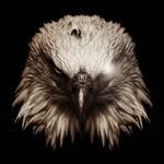 Gregory Wise - @ur.daddy_685 - Instagram