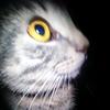 Gregory Wise - @gregory.wise90 - TikTok