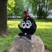 Gregory Wolf - Facebook