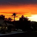 Gregory Wolfram - @gregorywolfram - Instagram