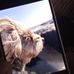 Greg Ybarra - Facebook