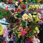 Gregory Yeo - @yeogregory - Instagram