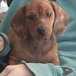 Gregory Yoder - @cubiologydude - Instagram