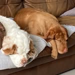 Arthur And Greta - @arthurandgreta - Instagram