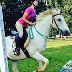 Greta 🐎 Bailey - @jumping._.bailey - Instagram
