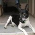 Greta Bailey - Facebook