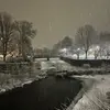 greta - @greta.rose.bailey - TikTok