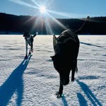 Greta Barber - @nardevmdshah6 - Instagram