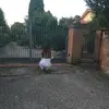 Greta Barberio - @greta.barberio - TikTok
