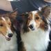 Greta Buckley - Facebook