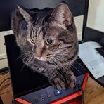 Greta Chang - Facebook