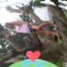Greta Weede Compton - Facebook
