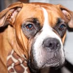 China - @greta_coxino_monura - Instagram