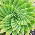 Greta Cox - @greta_photograthy_art - Instagram