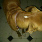 Greta - @greta_coxino_monura_45107 - Instagram