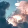 Greta Flowers - @greta.flowers6 - TikTok