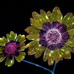 gretaflowers - @gretaflowers8 - Instagram