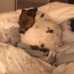 Greta Freeman - Facebook