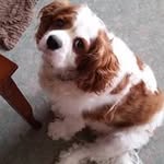 Greta George - @greta_george - Instagram