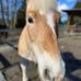 Greta George - Facebook