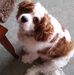 Greta George - Facebook