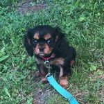 Greta Gordon - @gretagordongrrr - Instagram