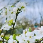 Greta G. - @greta_grady_ - Instagram