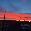 gretagray - @gretagray65 - TikTok