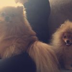 @greta_kent_ - Instagram