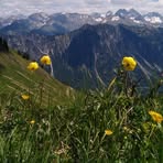 Greta Knoll - Facebook