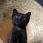 Greta Lambert - @gretalambert1955 - Instagram
