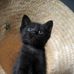 Greta Lambert - Facebook